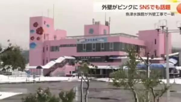 「竜宮城のよう」と話題！魚津水族館が外壁を一新、鮮やかな“さくら色”に変身した理由とは？【動画あり】