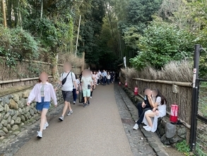 京都・嵐山「竹林の小径」350本に“落書き”被害　イニシャル、日付…“記念のつもり”でも「拘禁刑・罰金」の可能性