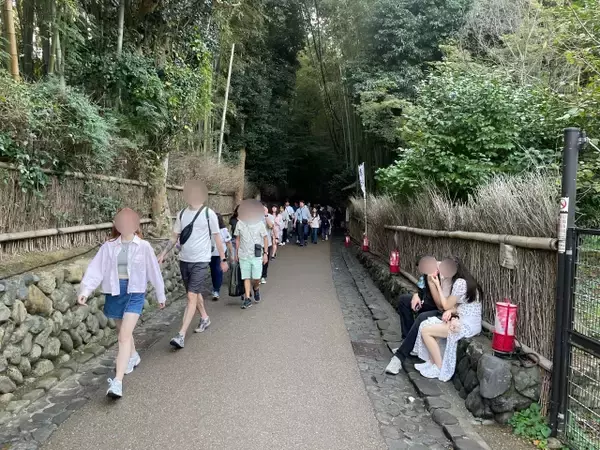 京都・嵐山「竹林の小径」350本に“落書き”被害　イニシャル、日付…“記念のつもり”でも「拘禁刑・罰金」の可能性