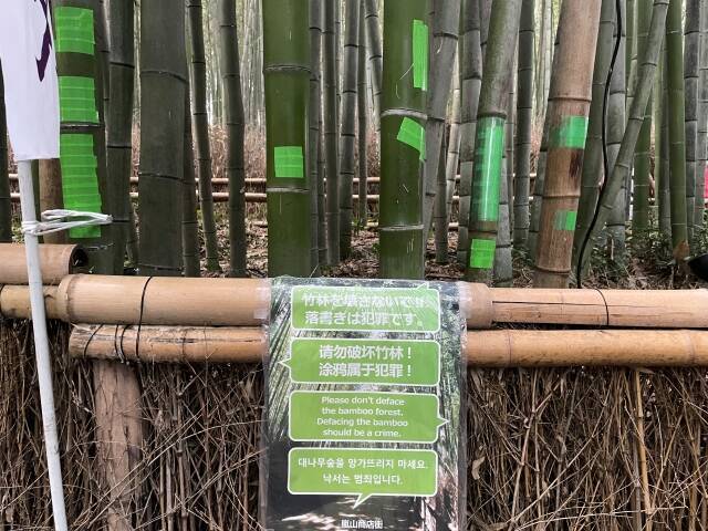 京都・嵐山「竹林の小径」350本に“落書き”被害　イニシャル、日付…“記念のつもり”でも「拘禁刑・罰金」の可能性