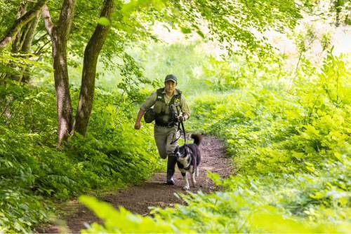 クマによる“人の居住地での人身事故”「14年連続ゼロ」の軽井沢、背景に“犬”の活躍も…他地域で「即導入」が難しいワケ