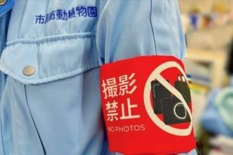 「腕章の飼育員は撮影禁止です」パンチくんの市川市動植物園呼びかけ、勝手にAI画像“被害”も…来園者はどこまで制限される？