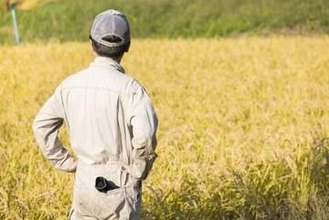 新米を軽トラに「1トン」積載、タイヤが跳ね上がることも…収穫期に横行する「過積載」の危険
