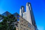 「小池知事推奨の“ハーフパンツ勤務”、SNSで「きもい」拒否反応も…都庁担当者「現場にクレームなし」」の画像1