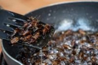 「ミスのペナルティだ」部下に“虫入り鍋”食べさせた疑いで役員逮捕、職場でこんな要求されたらどうする？