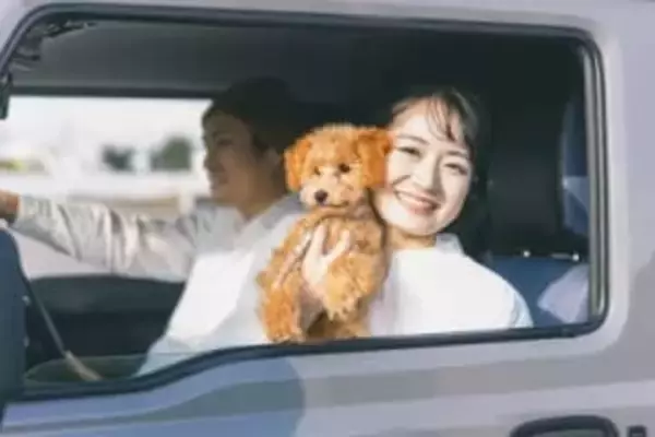 「規約違反では？」タイムズカー車両に“ペット同乗”か、SNS波紋　運営会社の見解は