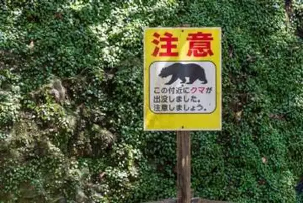 高尾山に「クマ出没」、登山ツアー予約済みでも「怖いからやめたい」…取消料なしで「キャンセル」できる？