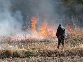 農村でモクモク「野焼き」の怖すぎる実態…5年間で69人死亡、クマ被害より多い死者数…農水省も注意換気