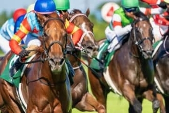 馬運車にぶつかったら「人生が終わる」ネットの噂は本当か？競走馬の賠償額と対物無制限の限界