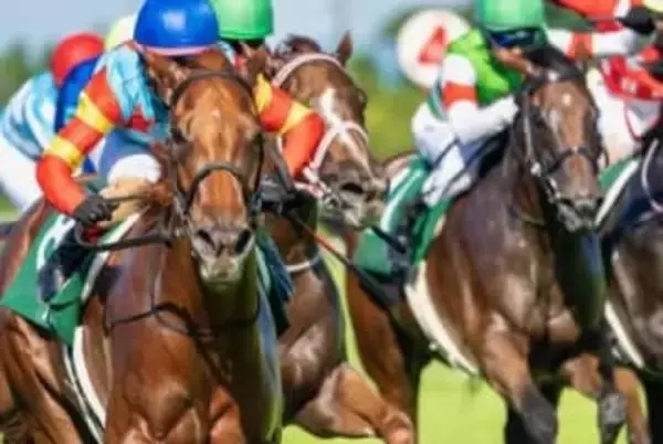 馬運車にぶつかったら「人生が終わる」ネットの噂は本当か？競走馬の賠償額と対物無制限の限界