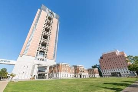 アイドルフェスでライブ中断、禁止の「モッシュ」がエスカレート、群馬県「事故のリスク高かった」