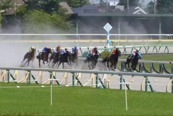 「毎日競馬をやればいい」はなぜ簡単じゃない？　JRA猛暑対策で浮上した開催日数のルール