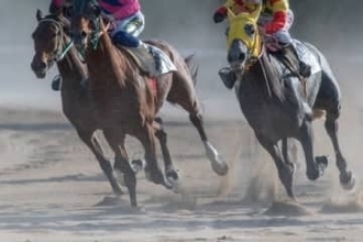 ウマ娘人気で注目、“名馬の名前”はどこまで使ってOK？　午年に改めて整理する法的ルール