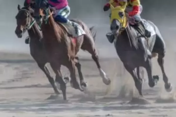 ウマ娘人気で注目、“名馬の名前”はどこまで使ってOK？　午年に改めて整理する法的ルール