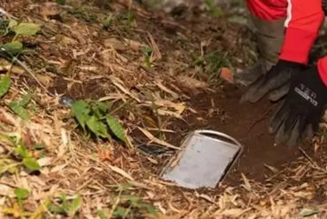 違法な「くくり罠」千葉の山中で相次ぎ発見、人が巻き込まれる危険も…行政は“勝手に撤去”できず