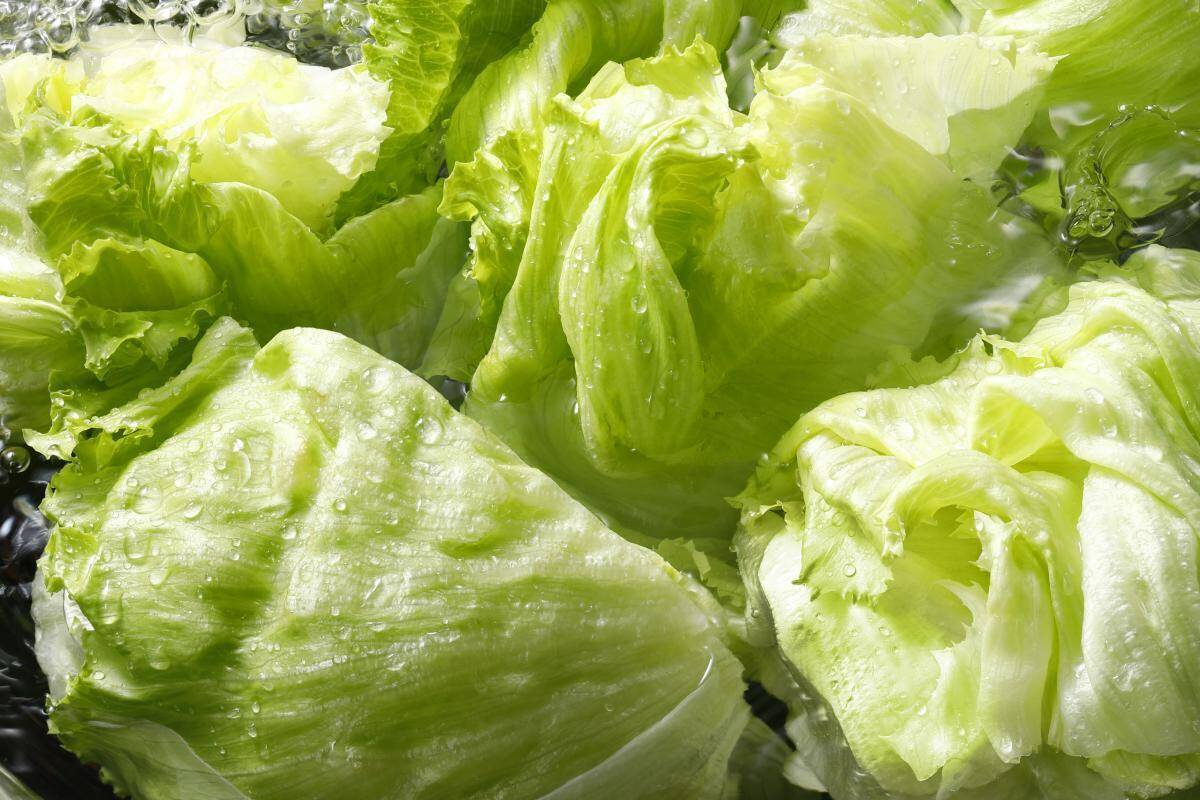 しゃぶしゃぶ温野菜で食べ放題が平日20%オフ＆休日10%オフ！小学生半額＆小学生未満無料の年齢割も併用可能はうれしい《8月27日まで》