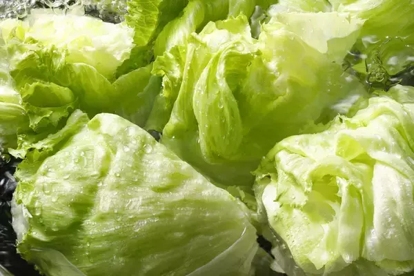 「しゃぶしゃぶ温野菜で食べ放題が平日20%オフ＆休日10%オフ！小学生半額＆小学生未満無料の年齢割も併用可能はうれしい《8月27日まで》」の画像