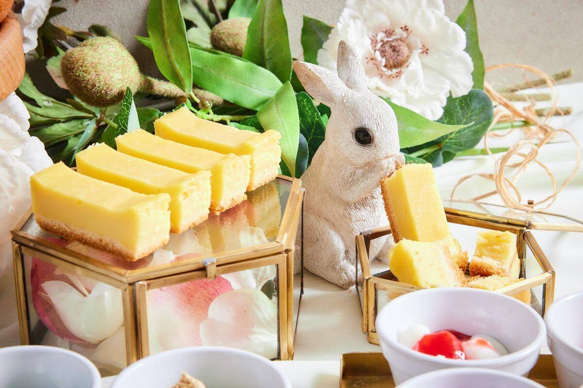 牛角の「デザート食べ放題」が全店・全コースに拡大！七輪で炙ったドーナツにアイスを合わせた"温×冷スイーツ"も見逃せない。