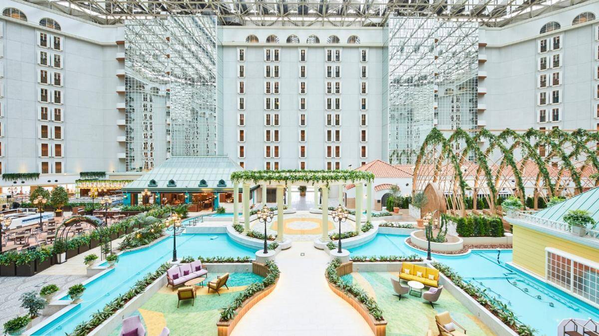 「お部屋から最高の富士山」「孫も大喜び」...楽天トラベルアワードで高評価のホテルトップ10を紹介！《2026年最新版》