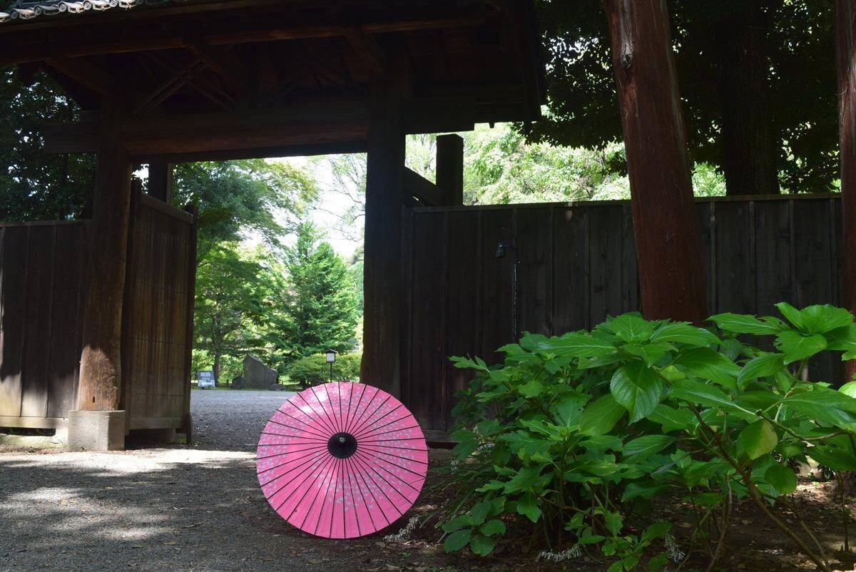 【六義園】60歳以上と付き添い1人の入園料が無料に。シルバーウィークは3世代でおでかけ！《9月21日まで》