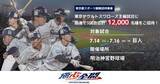 「ヤクルトVS巨人戦に計1万2000人を無料招待！応募は6月14日23時55分まで《都内在学・在勤でも申し込み可能》」の画像1