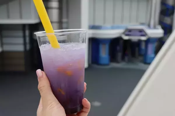 「東京ディズニーランド「スター・ツアーズ」が特別仕様に！マンダロリアンとグローグー好きは必見。必ず見られるのは今だけ。」の画像