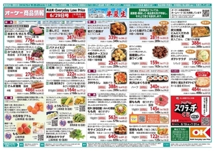 【オーケー最新チラシ】冷凍の浜松餃子やフライドポテトがお買い得！夏にぴったりの「生冷し中華」も特価に《7月5日まで》
