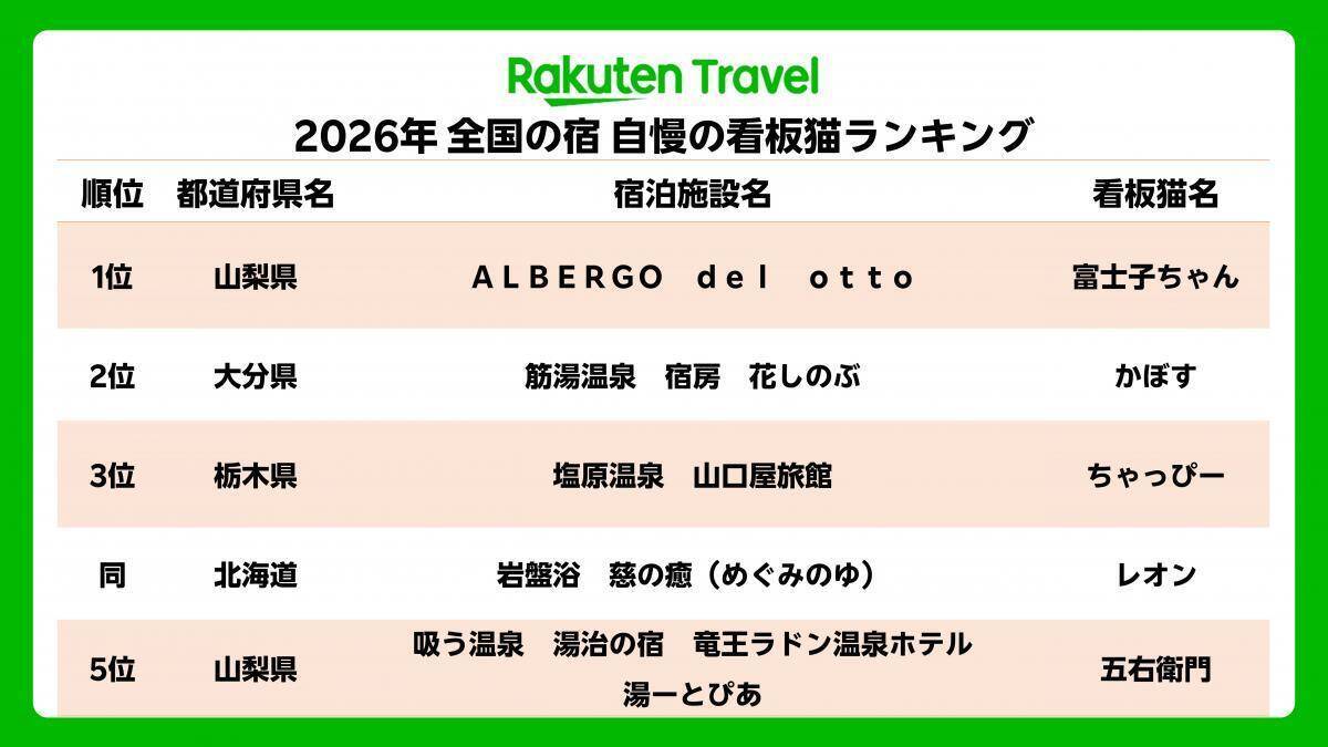 「貫禄のあるツンデレ猫」「疲れが和らぎそう」可愛くて癒される宿の看板猫トップ3！《2026年最新版》