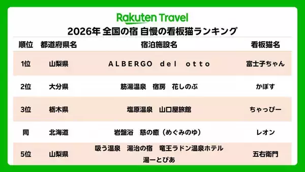 「「貫禄のあるツンデレ猫」「疲れが和らぎそう」可愛くて癒される宿の看板猫トップ3！《2026年最新版》」の画像