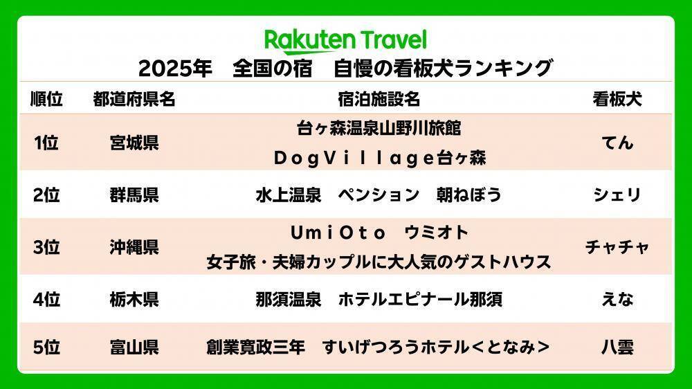 「笑顔に元気をもらえる」犬好き必見！全国の宿の看板犬トップ3を紹介