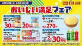 「【デイリーヤマザキ】「世界のキッチンからソルティライチ」無料券がもらえるは7月13日まで！海苔弁やパスタの増量も。」の画像5