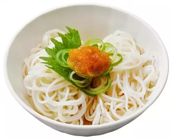 「かっぱ寿司に夏グルメが勢ぞろい！旬のネタにひんやりメニューなど、一人でも家族でも楽しめるラインアップ《6月11日スタート》」の画像