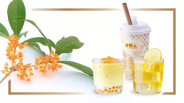 「「茶ラテ」420円→300円は6月20日だけ！お茶専門店「CHABAR」西武新宿ペペ店でオープン限定お得企画を実施。」の画像