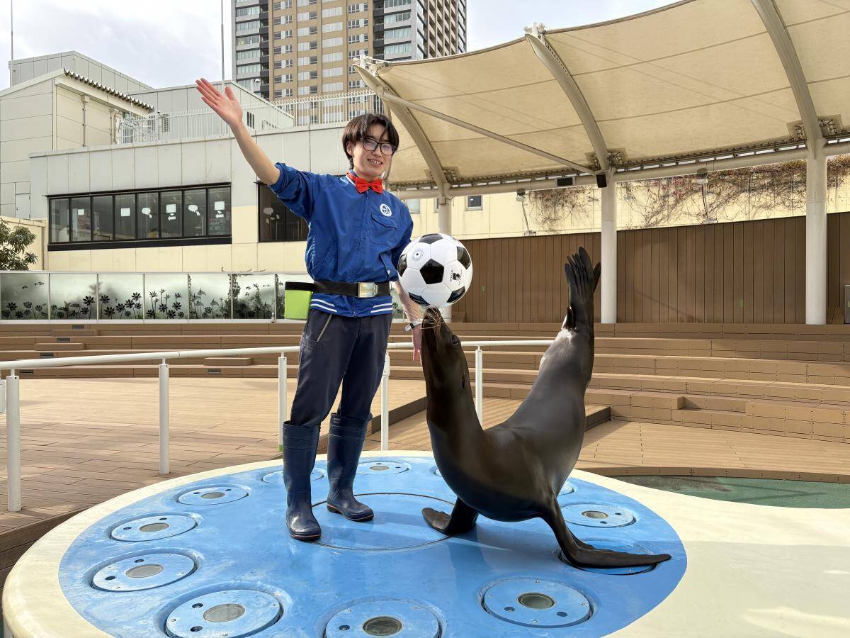 【2026年GW】初夏のおでかけにぴったり！都内で楽しめる水族館イベント5選