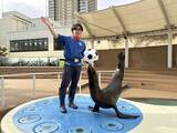 「【2026年GW】初夏のおでかけにぴったり！都内で楽しめる水族館イベント5選」の画像3
