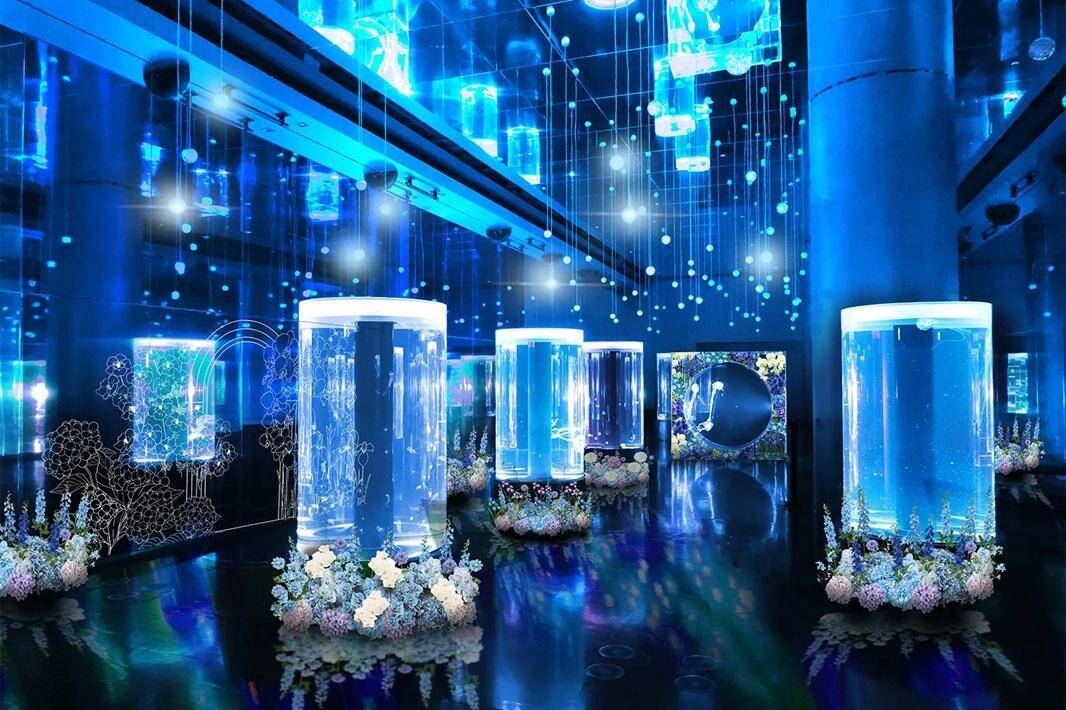 【2026年GW】初夏のおでかけにぴったり！都内で楽しめる水族館イベント5選