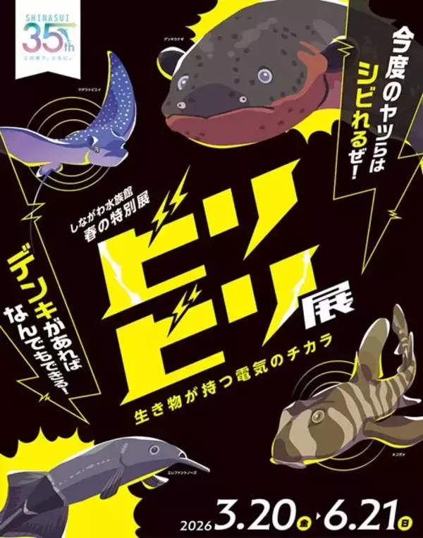 「【2026年GW】初夏のおでかけにぴったり！都内で楽しめる水族館イベント5選」の画像