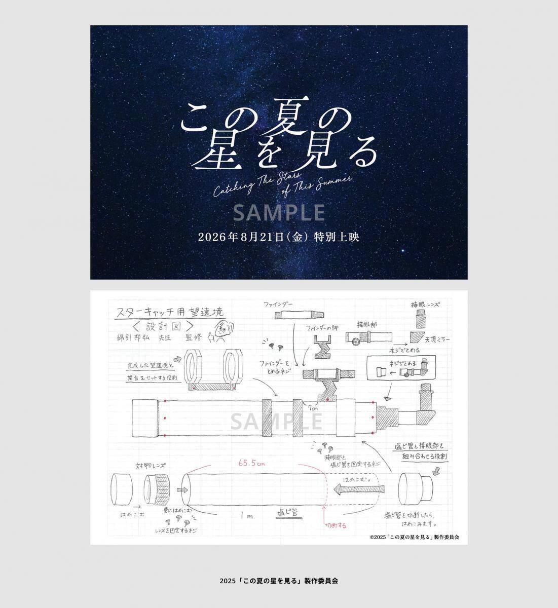 【8月21日限定】映画「この夏の星を見る」が特別上映へ。30歳未満は鑑賞料金が一律1000円。