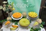 「キル フェ ボンでメロンの美味しさに溺れる♡個性光る贅沢な「MELONフェア」でお気に入りが見つかる予感《実食レポ》」の画像1