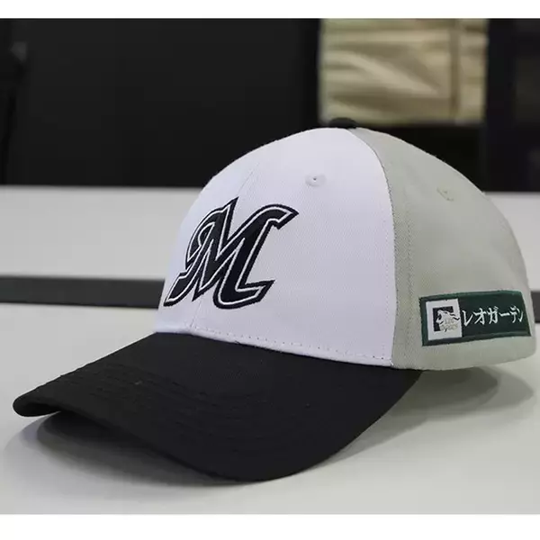 「【千葉ロッテ】県内小学生と保護者を公式戦に無料招待！前半の応募は6月21日まで」の画像