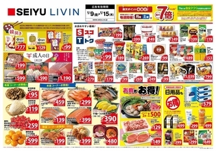 【西友のチラシ】税抜99円食品がどっさり！ハンバーグにカップヌードルもお得に買うチャンス《15日まで》