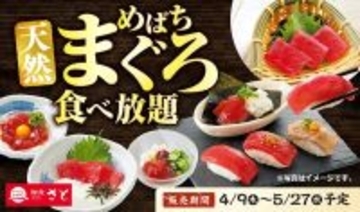 【和食さと】期間限定で"天然めばちまぐろ"が食べ放題に！お造りに赤身にぎりも...。思う存分味わい尽くせるよ～。