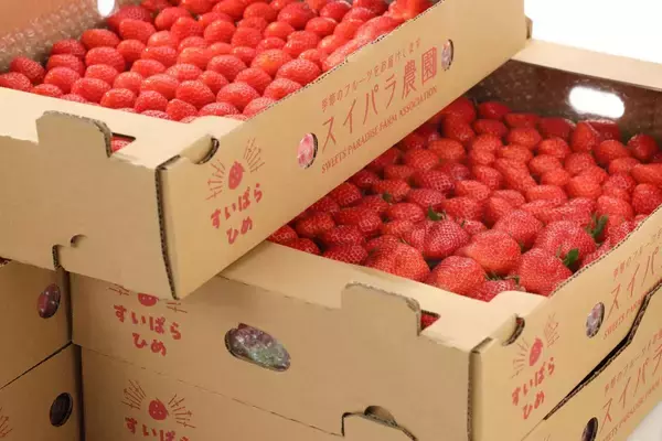 「メロン＆マンゴー食べ放題が主役♡スイパラで"旬の交代期"を楽しめるフルーツ食べ放題の新コースが登場《4月25日から》」の画像