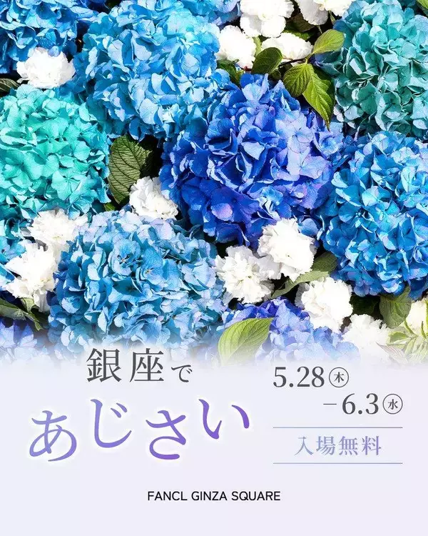 ドリンク配布に無料の肌測定も。ファンケル銀座スクエア、今年の夏は青のあじさい一色に。《6月3日まで》