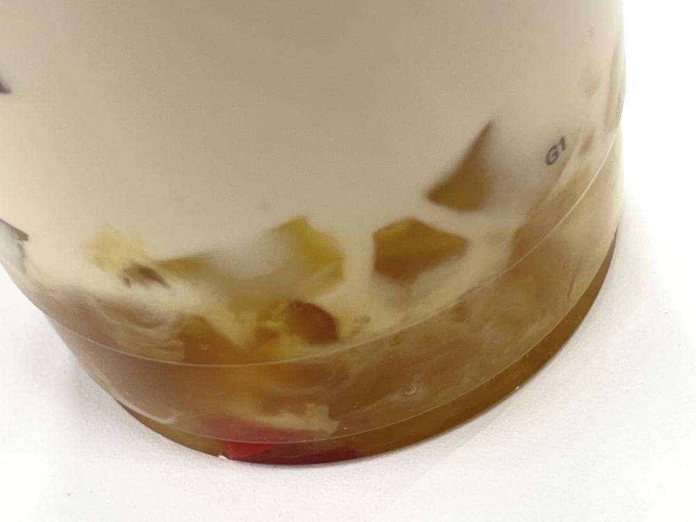 【ゴンチャ実食レポ】1月後半の新作はハニーナッツウーロンミルクティー！ぷるるんゼリーにとろ～りソースがたまらん...♡