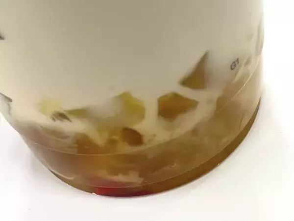 「【ゴンチャ実食レポ】1月後半の新作はハニーナッツウーロンミルクティー！ぷるるんゼリーにとろ～りソースがたまらん...♡」の画像