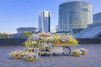 【横浜】お花、栽培キットをプレゼント！3連休の横浜エリアは魅力がいっぱい。