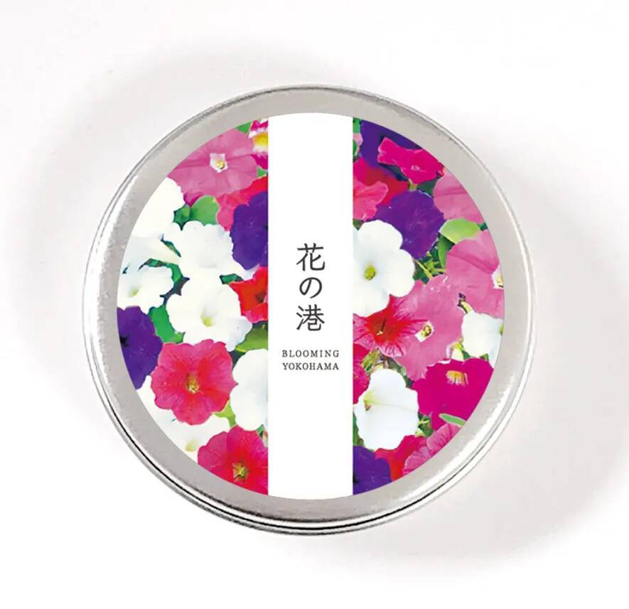 【横浜】お花、栽培キットをプレゼント！3連休の横浜エリアは魅力がいっぱい。