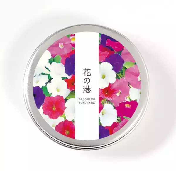 「【横浜】お花、栽培キットをプレゼント！3連休の横浜エリアは魅力がいっぱい。」の画像