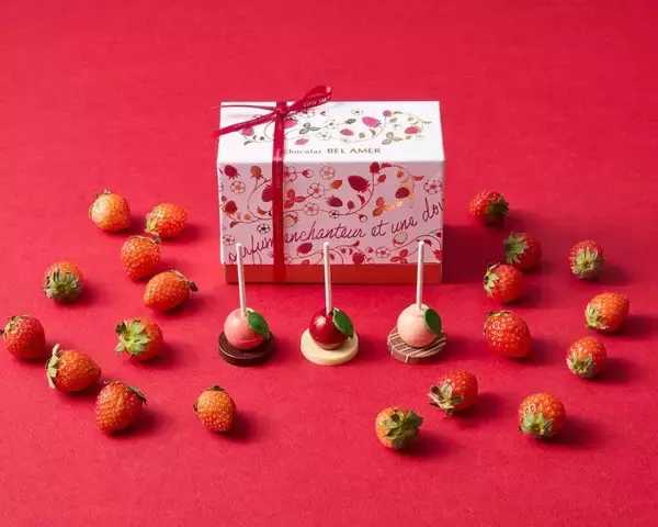 「2026年の特別な味わい！【ベルアメール】バレンタインコレクション販売開始中♡」の画像
